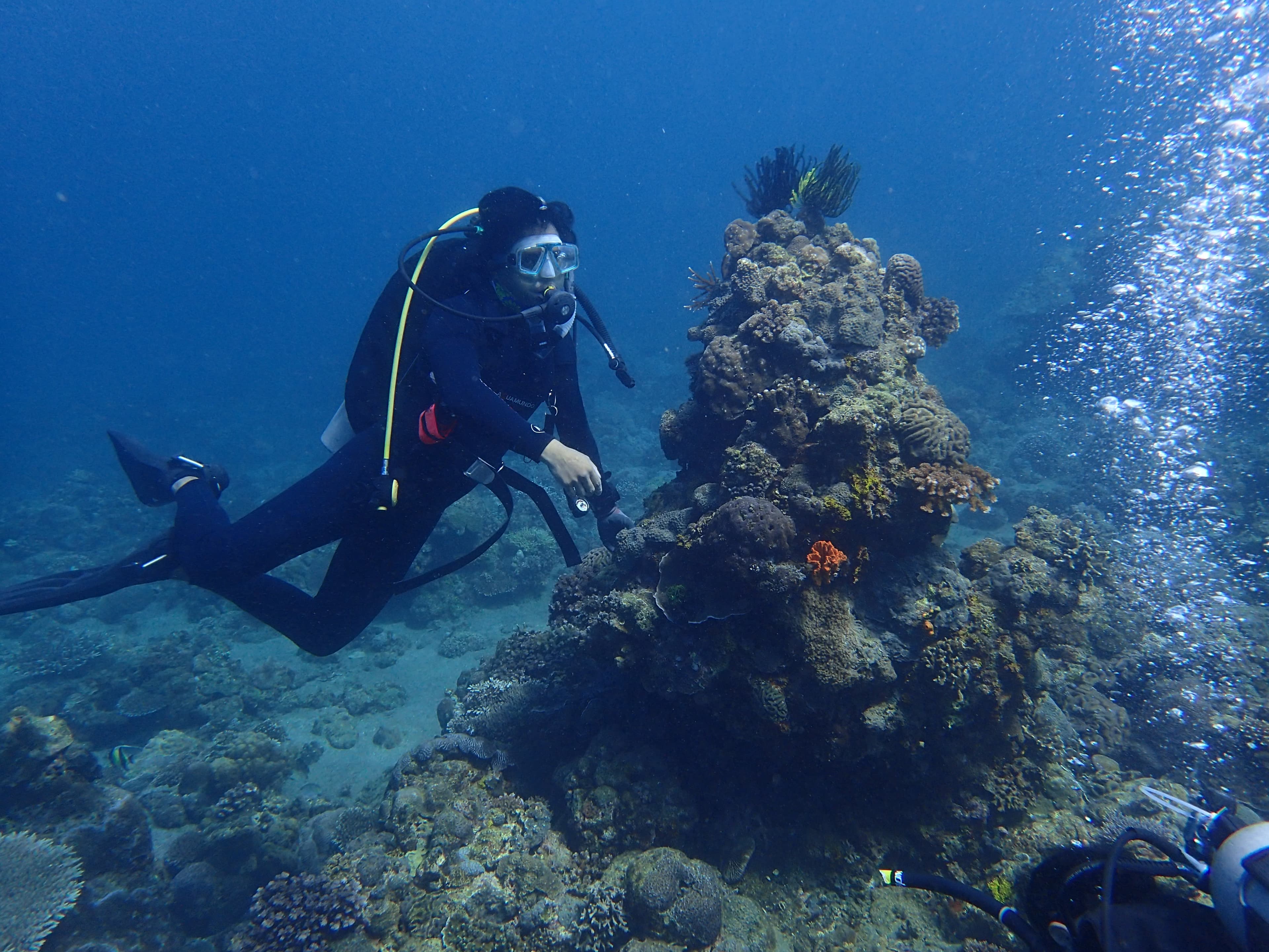 An MSI researcher documenting a coral head in situ