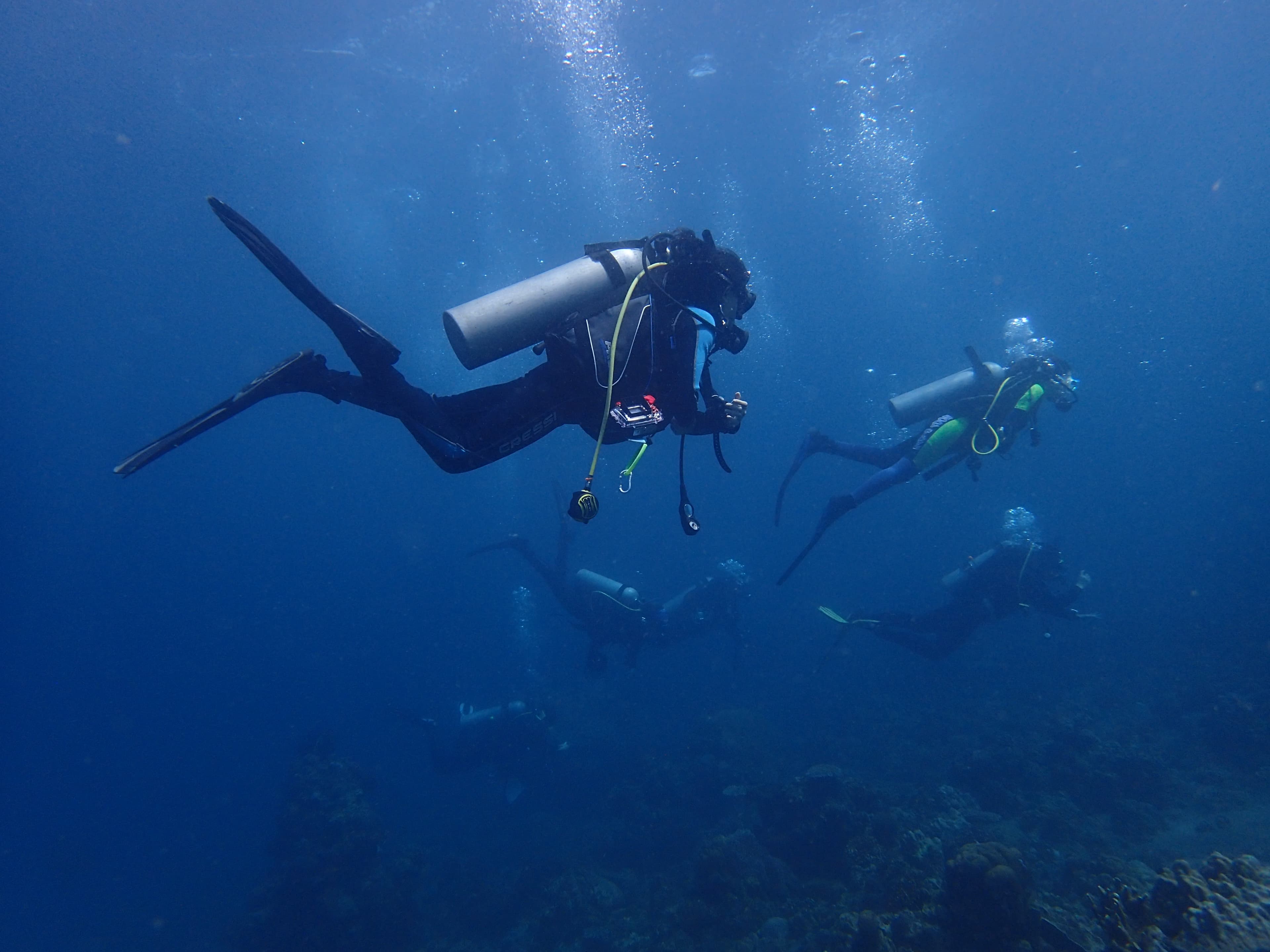 UP Marine Science Institute researchers descending to a survey site